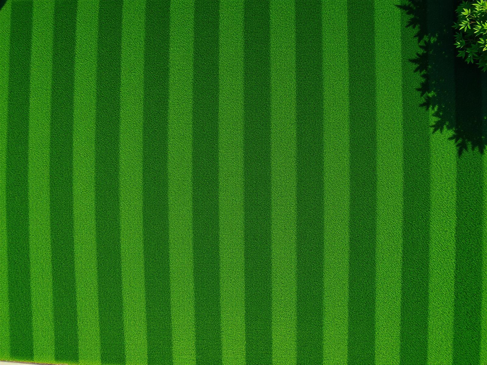 Freshly mowed lawn with diagonal stripes